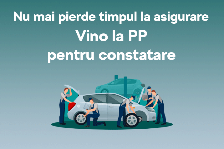 ppp-autoconstatari